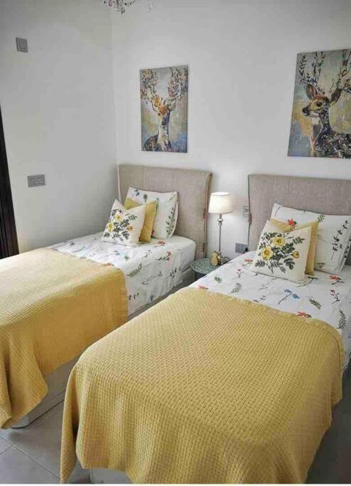 Bahia Homes Torrevieja Dış mekan fotoğraf