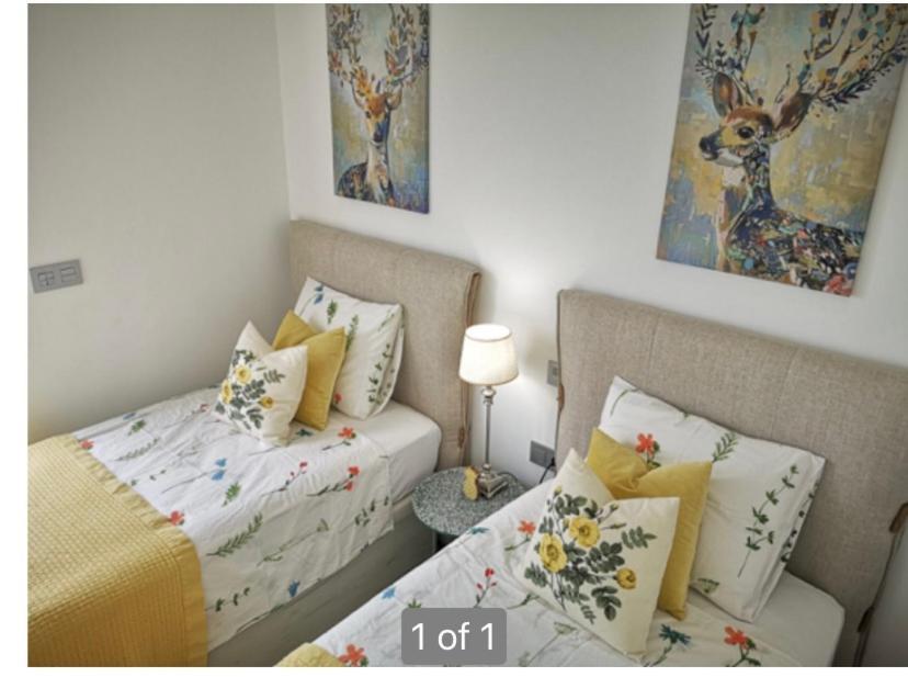 Bahia Homes Torrevieja Dış mekan fotoğraf
